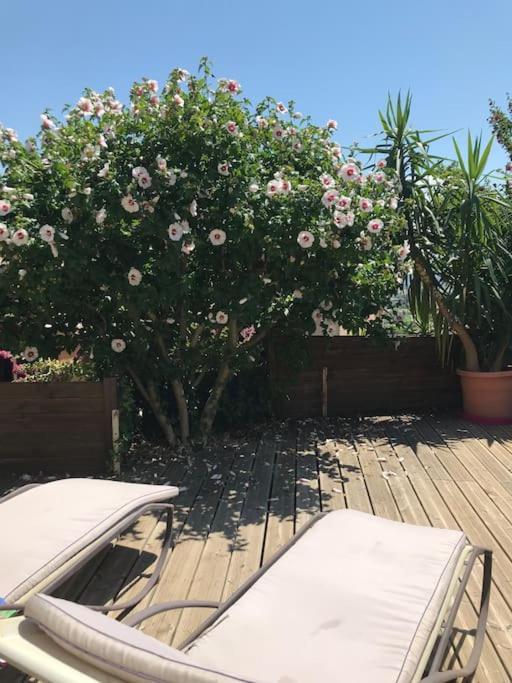 Appartement Sur La Colline Avec Acces Piscine Volx Exterior foto